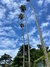 image_15